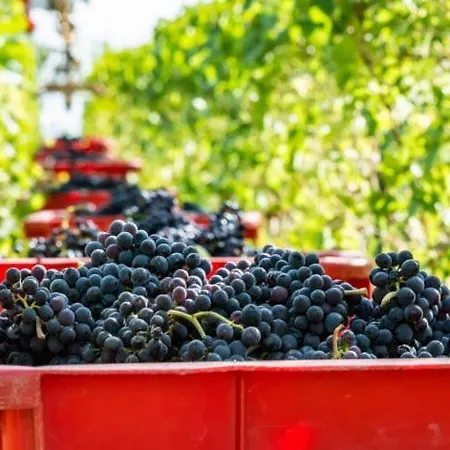 Σπίτι διακοπών Au Jardin D'olga