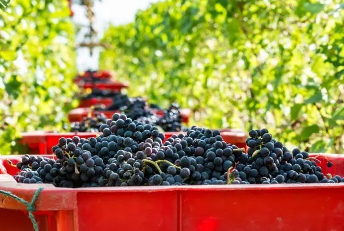 Holiday home Au Jardin D'olga